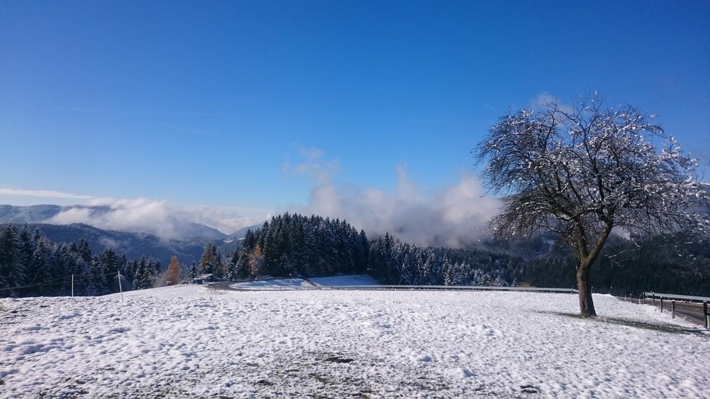 Farm Stay Ramsak Zreče Eksteriør billede